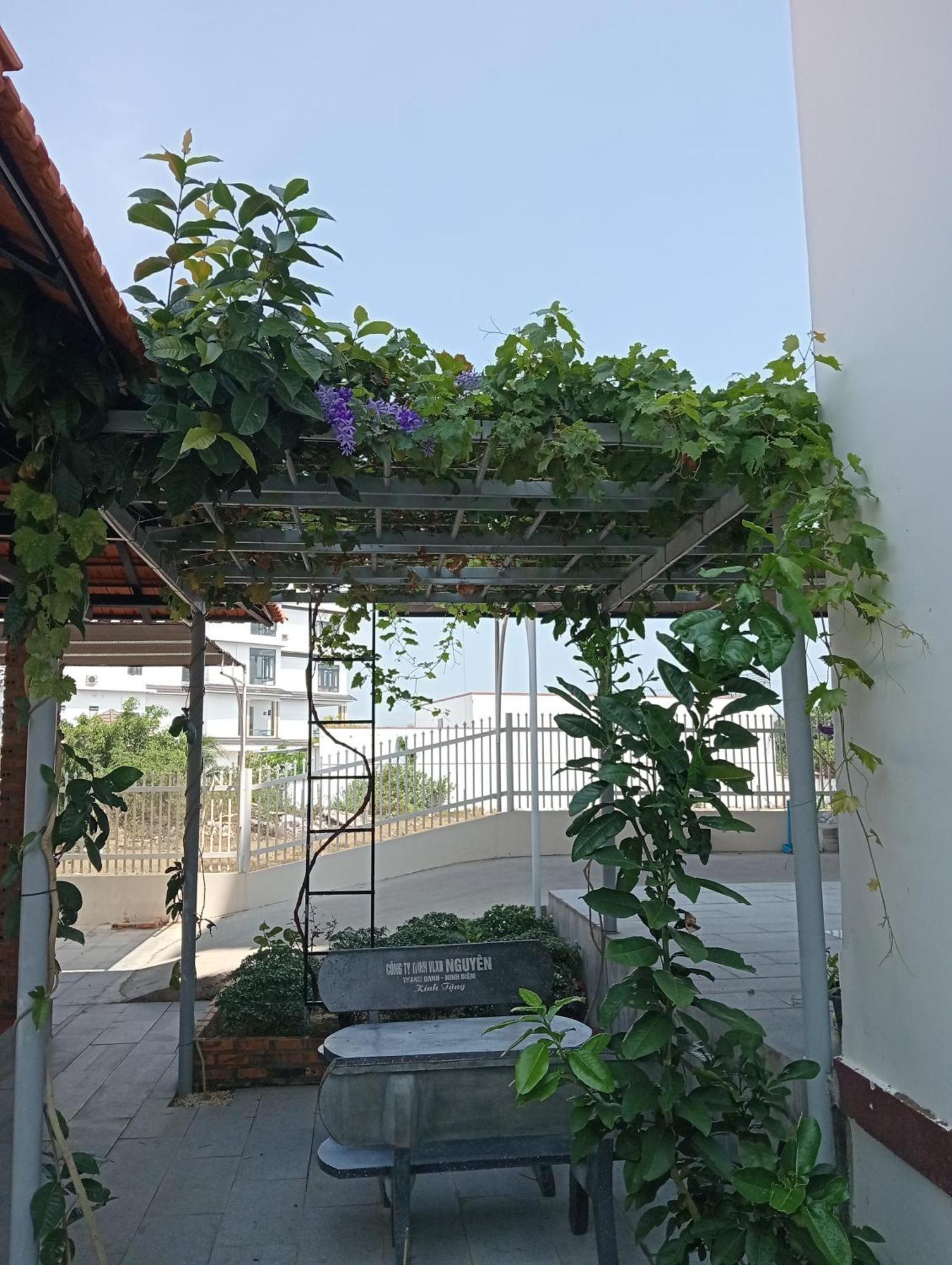 Khach San An Thinh 2 Hotel Ấp Ninh Hòa  Exterior foto